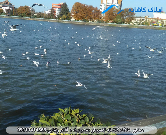 تاریخچه استخر لاهیجان