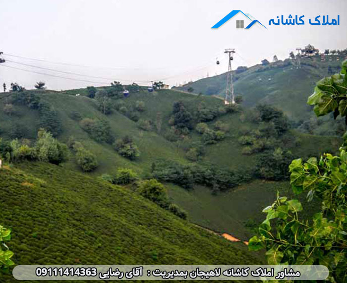 تاثیر جاذبه های گردشگری لاهیجان بر قیمت املاک