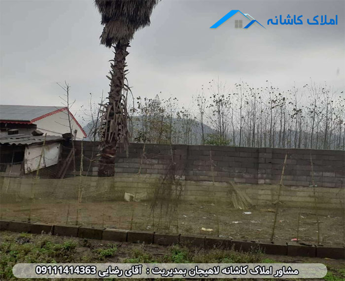 املاک لاهیجان - زمین 387 متری در روستای سیاهکلده لنگرود