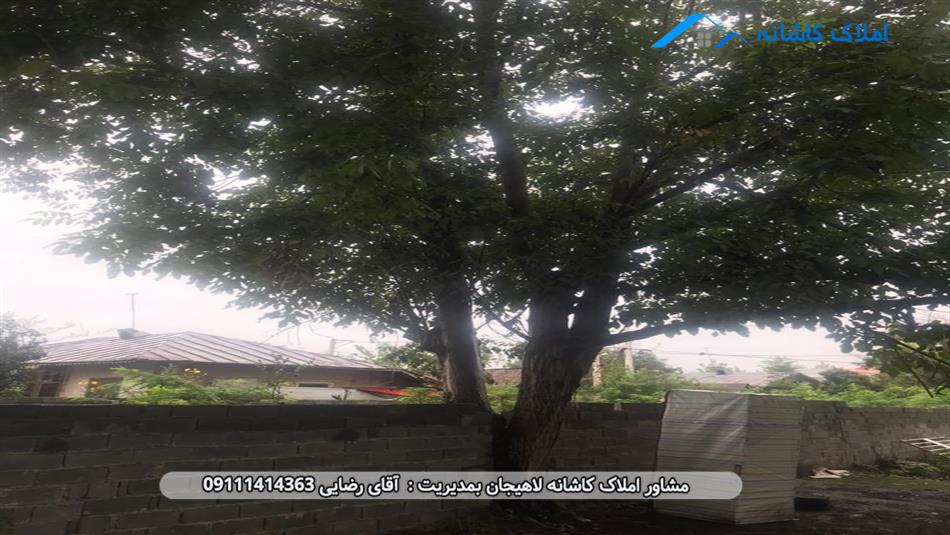 خرید ملک لاهیجان - زمین 700 متری در روستای حاج ابراهیم ده لنگرود
