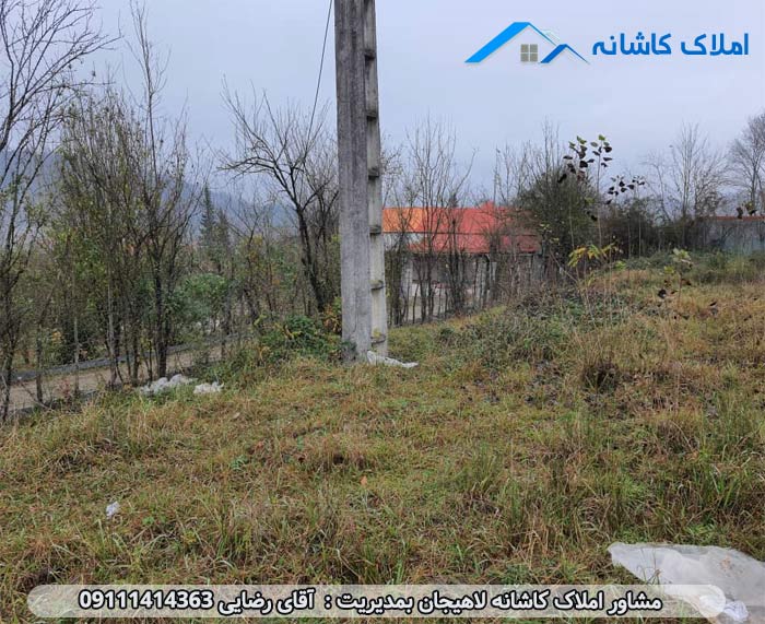 املاک لاهیجان - زمین 500 متری در روستای کوره بر لاهیجان