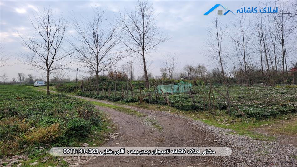 خرید ملک لاهیجان - زمین 500 متری در روستای تجن گوکه آستانه اشرفیه