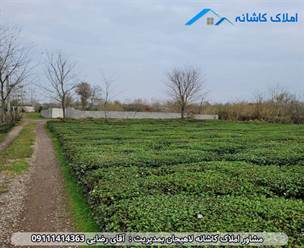 مشاور املاک در لاهیجان زمین 500 متری در روستای تجن گوکه آستانه اشرفیه
