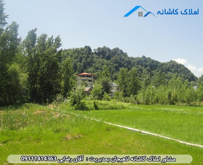 املاک لاهیجان - زمین 600 متری در روستای کوهبنه لاهیجان