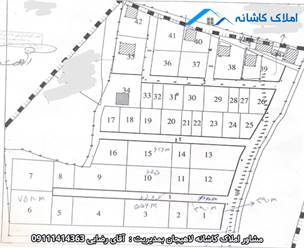 فروش چهار قطعه زمین به متراژ های 645 متری، 626 متری، 556 متری و 390 متری در خالوباغ لاهیجان، دارای کاربری باغی و ... می باشد