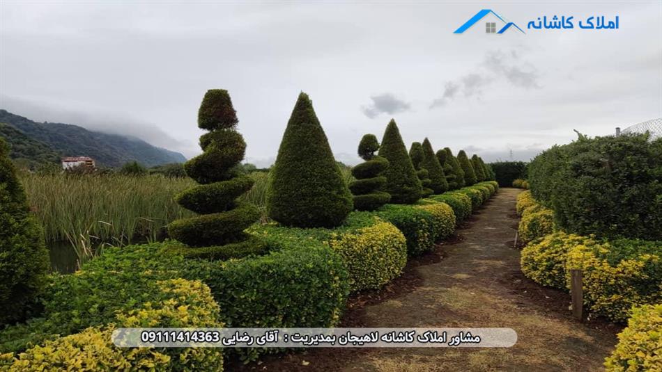 خرید ملک لاهیجان - باغ لوکس 6000 متری در لیالستان لاهیجان