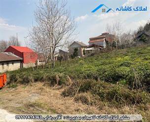 املاک کاشانه لاهیجان - فروش زمین 2000 متری در روستای دیزبن لاهیجان، دارای کاربری باغی، 300 متر عقب نشینی، 1700 متر زمین باقی مانده، دو بر و ... می باشد.