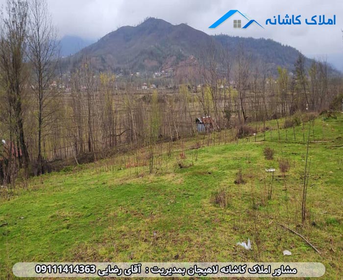 املاک لاهیجان - دو قطعه زمین 631 متری در روستای مهربن سیاهکل