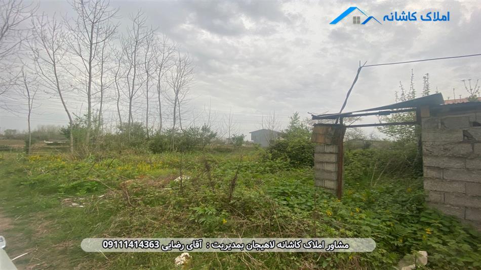 خرید ملک لاهیجان - زمین 500 متری در قصاب محله لاهیجان