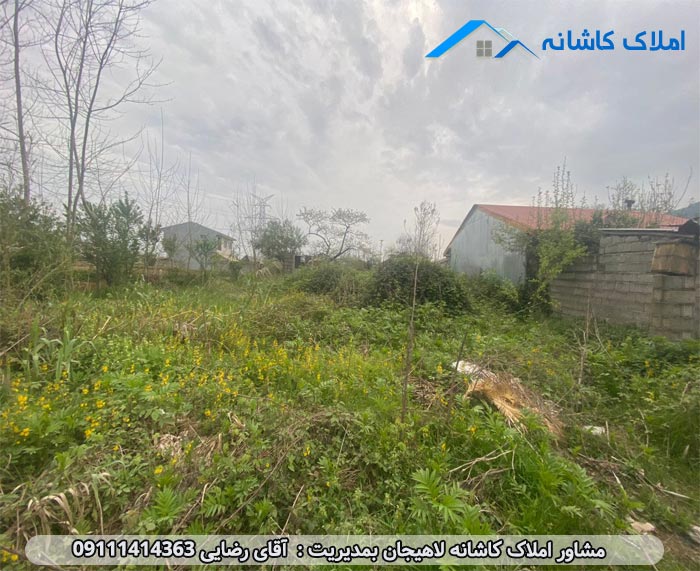 املاک لاهیجان - زمین 500 متری در قصاب محله لاهیجان