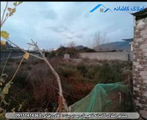 فروش زمین 308 متری در روستا کوره بر لاهیجان، دارای کاربری باغی، 20 متر بر زمین، امتیازات کامل، کوچه 8 متری، سند و ... می باشد.