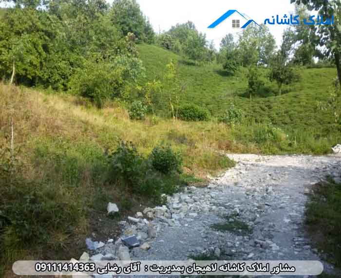 املاک لاهیجان - زمین 648 در روستای چلک لاهیجان با کاربری مسکونی