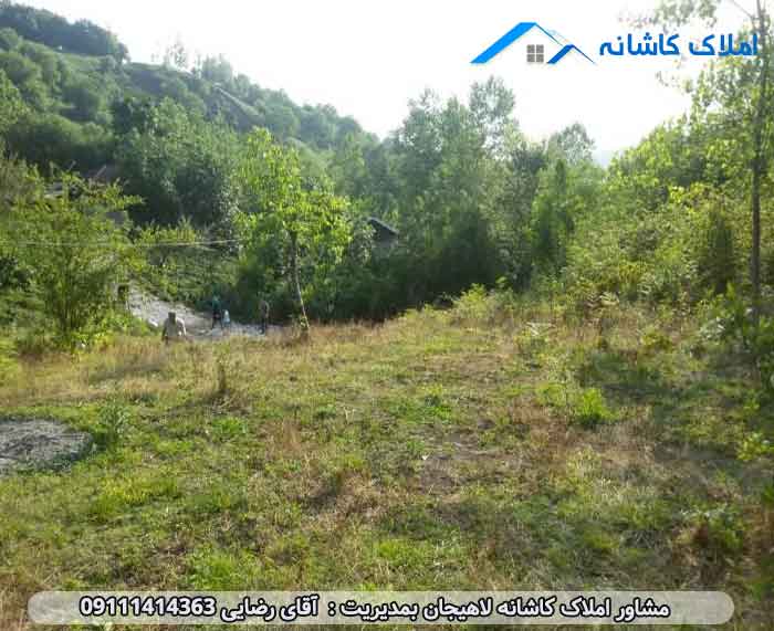 زمین 648 در روستای چلک لاهیجان با کاربری مسکونی