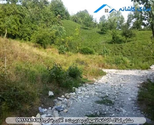مشاور املاک در لاهیجان زمین 648 در روستای چلک لاهیجان با کاربری مسکونی