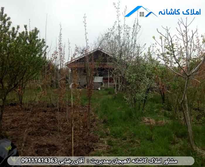 املاک لاهیجان - فروش 5800متر زمین در لیالستان لاهیجان