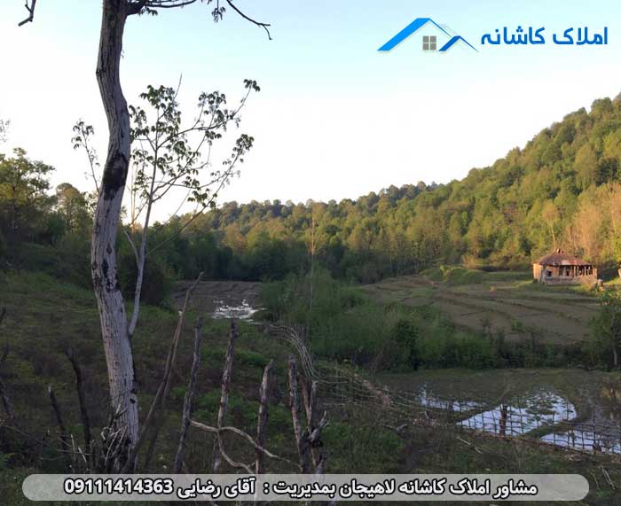 املاک لاهیجان - خرید 1030 متر زمین در روستای چهلستون لاهیجان
