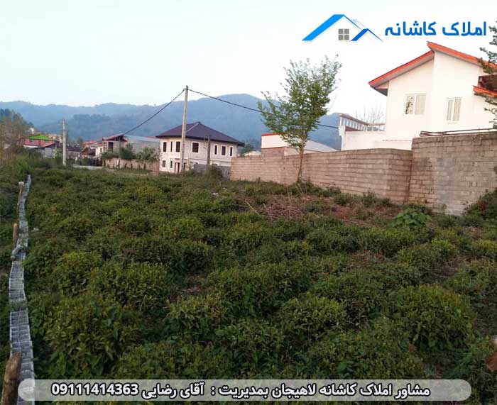 املاک لاهیجان - فروش زمین 700 متری در روستای کته شال لاهیجان