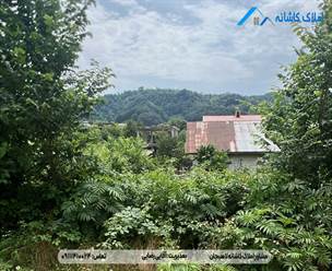 فروش زمین 275 متری در روستا سوستان لاهیجان