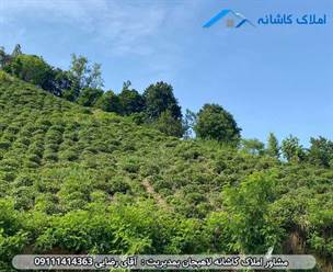 فروش زمین 2000 متری در بر اصلی سعدی، دارای 780 متر زمین با کاربری مسکونی و ویو عالی می باشد. زمین مورد نظر دارای 47 متر بر می باشد. مناسب جهت سرمایه گذارای و ساخت و ساز است.