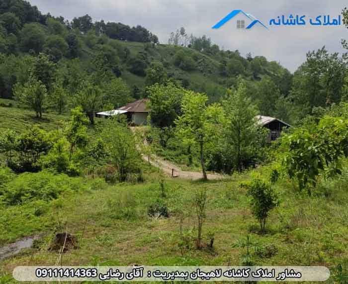 فروش زمین 648 متری در روستای چلک