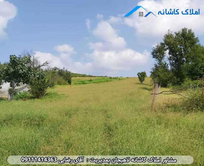 املاک لاهیجان - فروش زمین 7000 متری در روستای کومله لنگرود