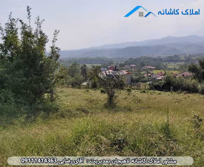 خرید ملک لاهیجان - فروش زمین 7000 متری در روستای کومله لنگرود