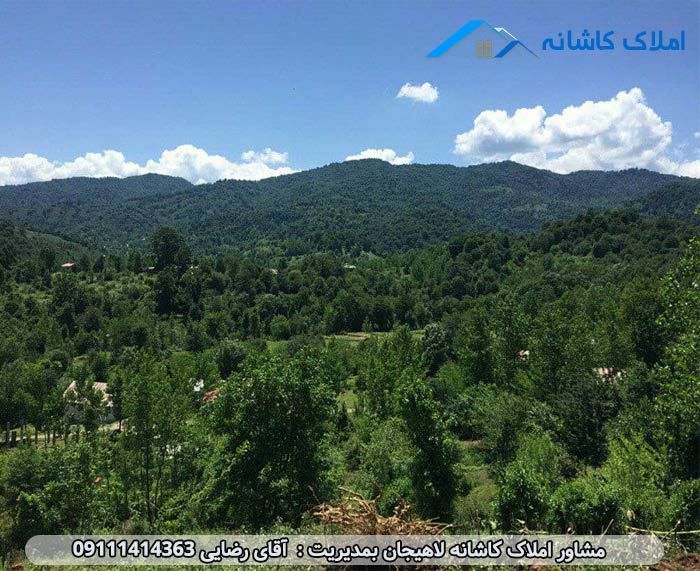 فروش زمین 1360 متری در روستای زاکله بر لاهیجان