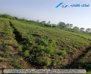 مشاور املاک در لاهیجان چهار قطعه زمین 600 ، 500 ، 400 ، 300 متری در روستای توستان لاهیجان