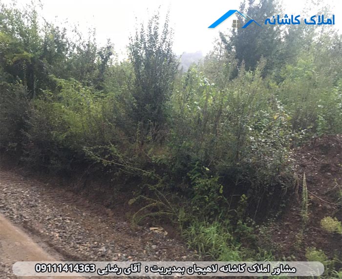 خرید ملک لاهیجان - زمین با متراژ 206 متر در روستای زمیدان لاهیجان