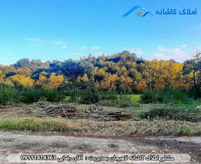 خرید ملک لاهیجان - زمین با متراژ 250 متر در روستای زمیدان لاهیجان