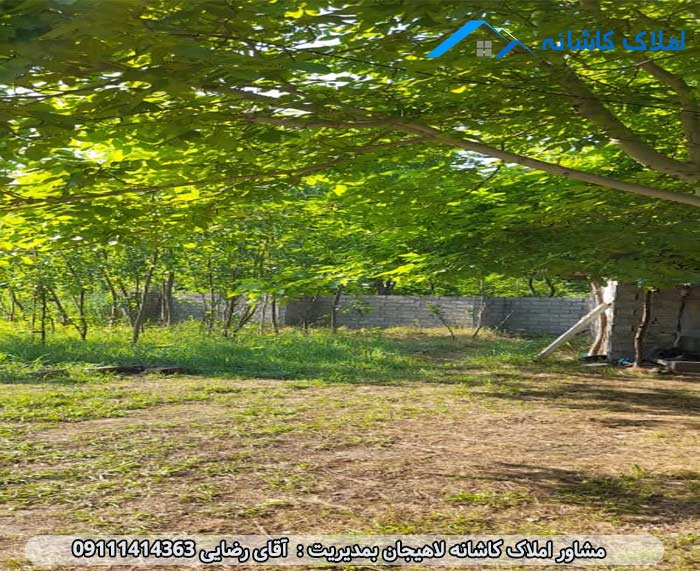 خرید ملک لاهیجان - زمین با متراژ 1550 متر در آستانه اشرفیه روستای امشل